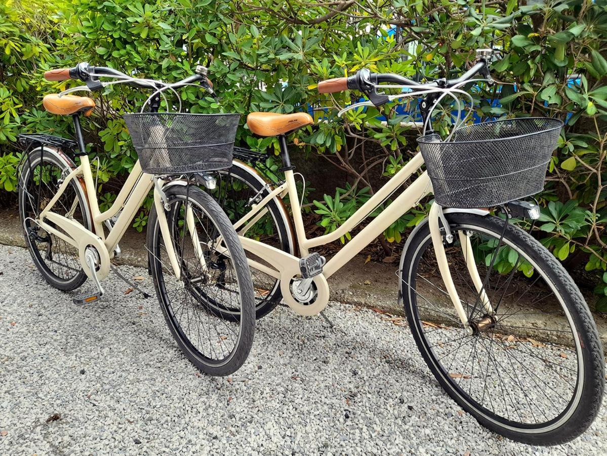 Apt Luminoso, Spazioso Con Aria Condiz E Bici Виареджо Экстерьер фото